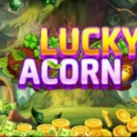 Lucky Acorn