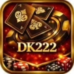 DK222